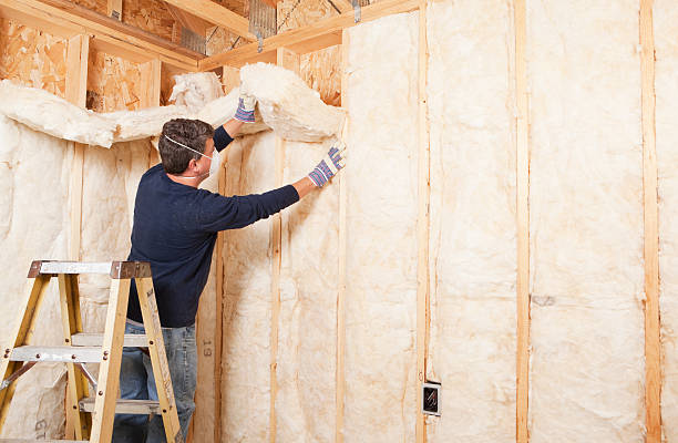 Types of Insulation We Offer in Plattsburg, MO